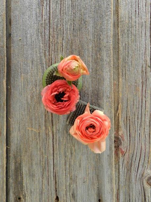 SALMON RANUNCULUS
